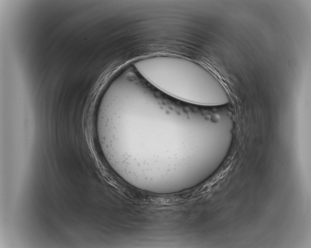 X0000116390241200912021011