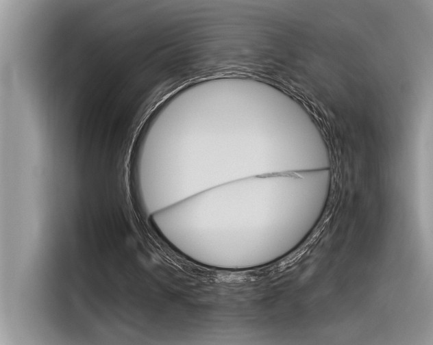 X0000116390242200912021011