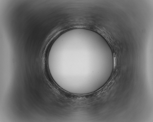 X0000116390243200912021011