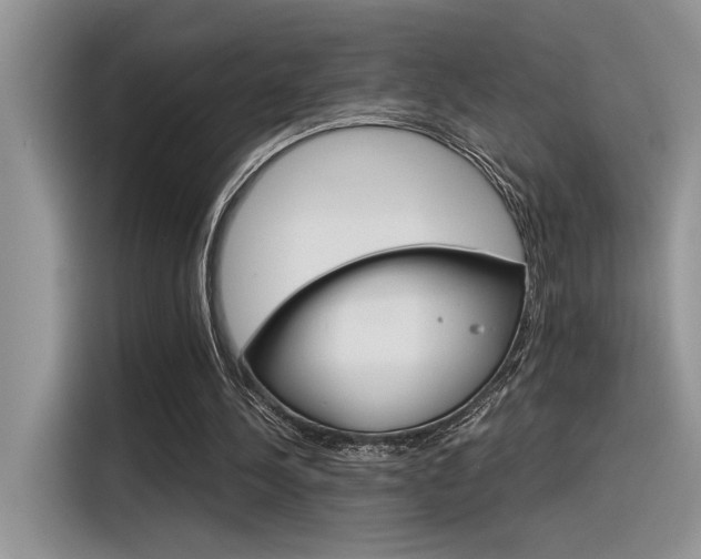 X0000116390244200912021011