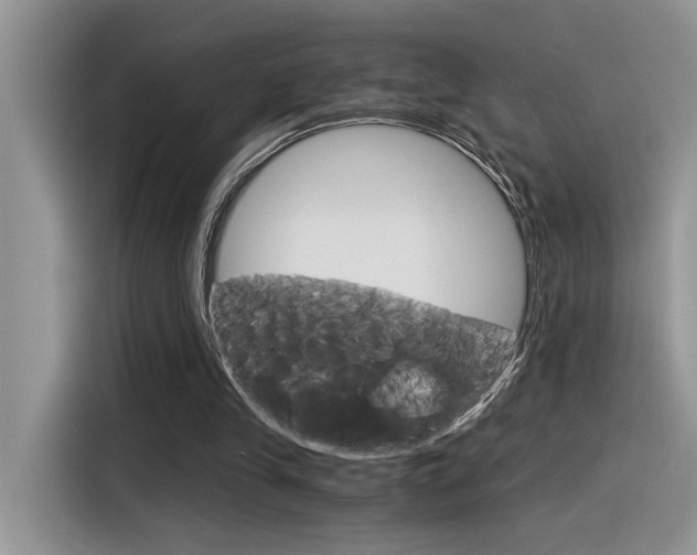 X0000116390245200912021011