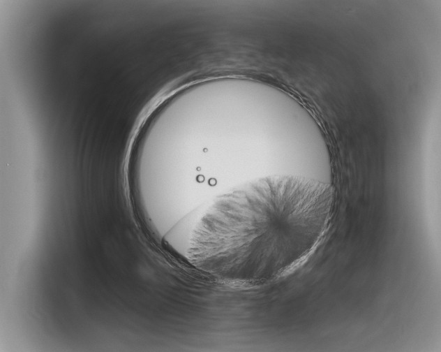 X0000116390246200912021011