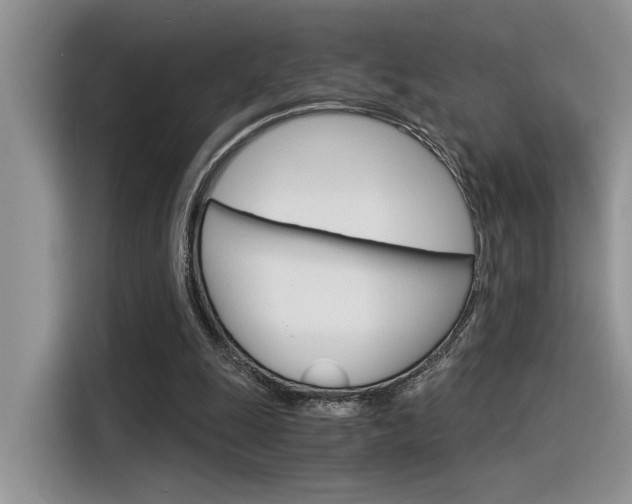 X0000116390247200912021011