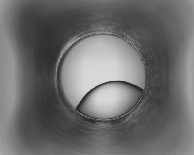 X0000116390248200912021011