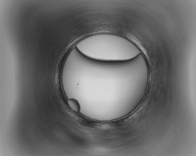 X0000116390249200912021012