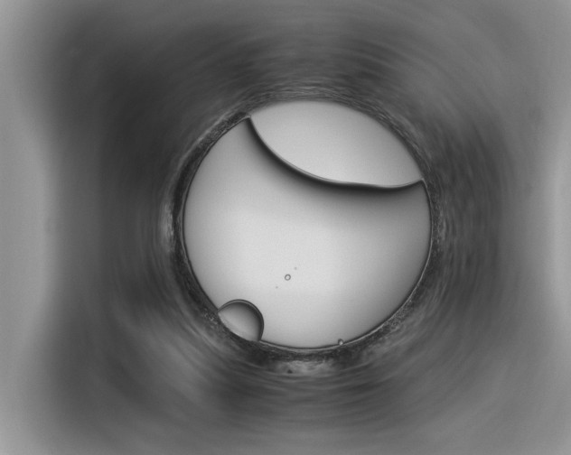 X0000116390251200912021012