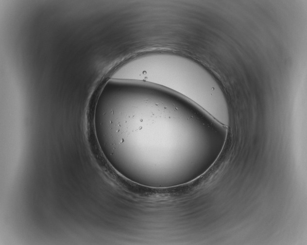 X0000116390252200912021012