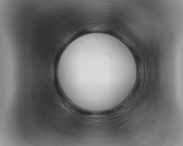 X0000116390255200912021012