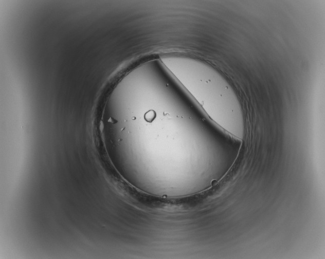 X0000116390256200912021012