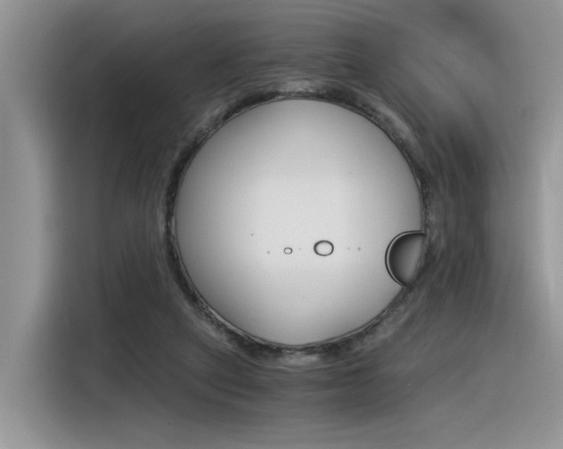 X0000116390257200912021012
