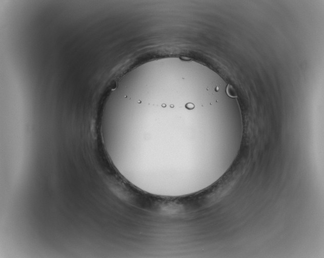 X0000116390258200912021012