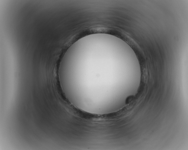 X0000116390259200912021012