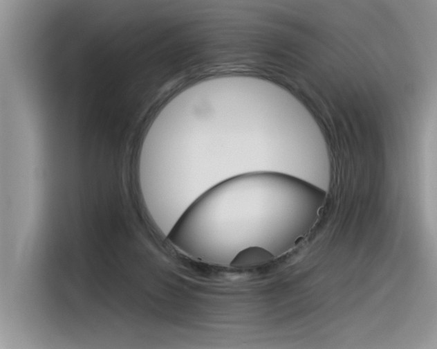 X0000116390260200912021012