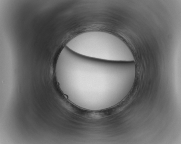 X0000116390261200912021012
