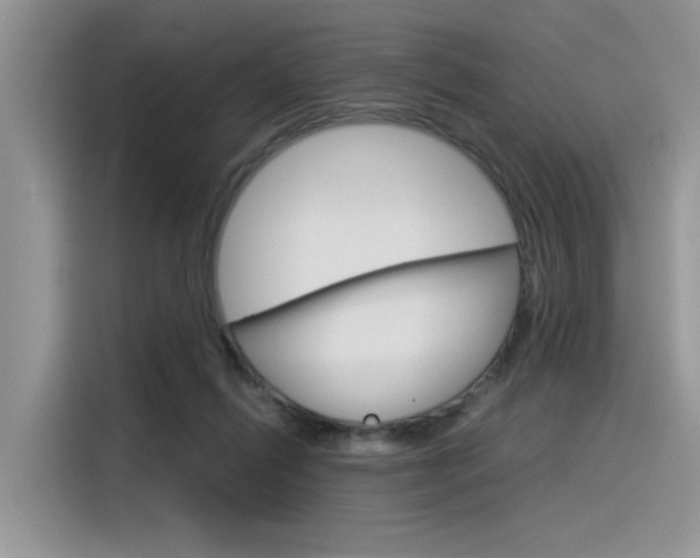 X0000116390262200912021012