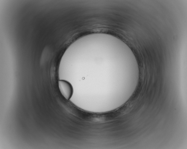 X0000116390263200912021012