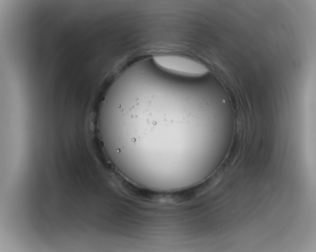 X0000116390264200912021012