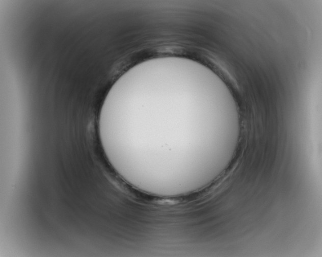 X0000116390265200912021012