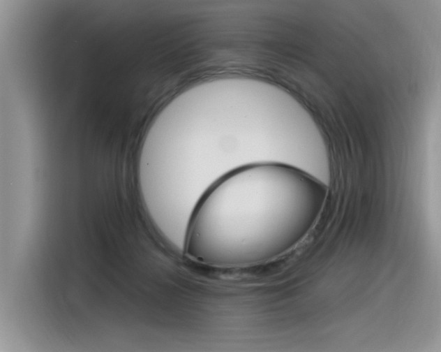 X0000116390268200912021012