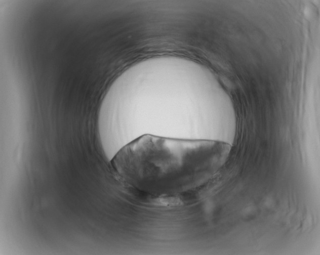 X0000116390270200912021012