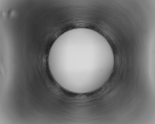 X0000116390271200912021012