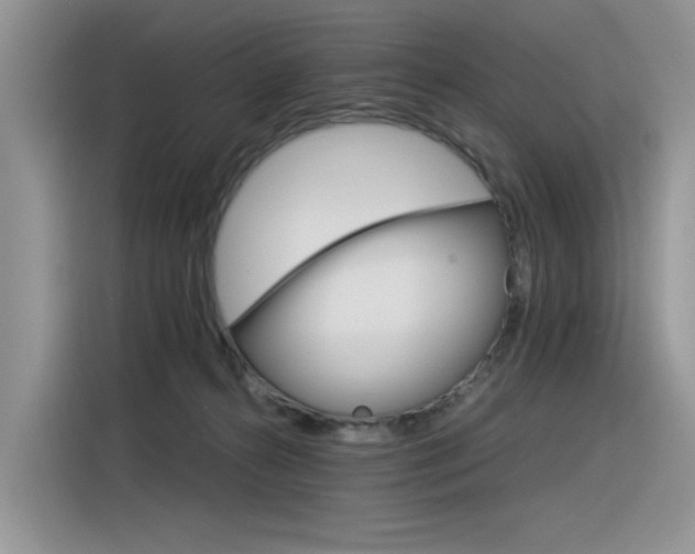 X0000116390272200912021012