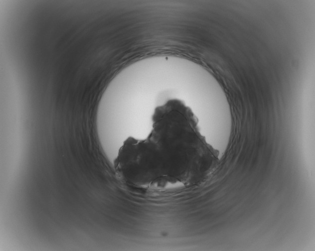 X0000116390274200912021012