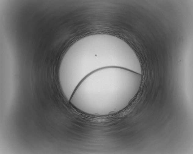 X0000116390276200912021012
