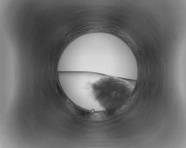 X0000116390277200912021012