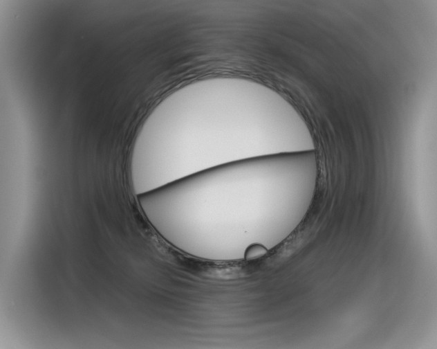 X0000116390278200912021012