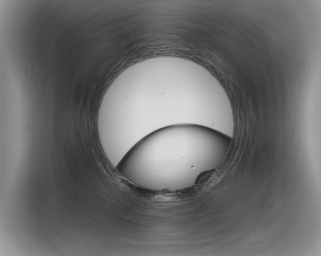 X0000116390280200912021012