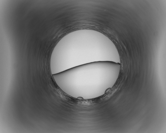 X0000116390282200912021012