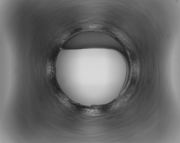 X0000116390284200912021012
