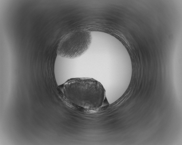 X0000116390285200912021012