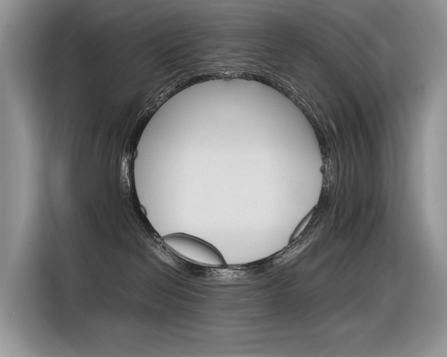 X0000116390286200912021012