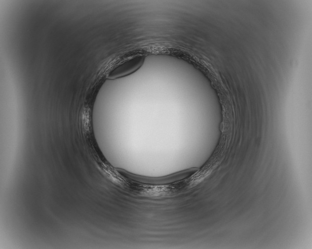 X0000116390288200912021012