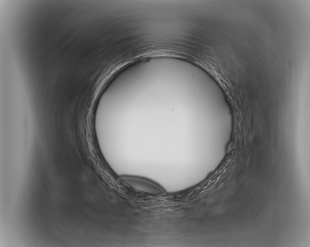 X0000116390289200912021011