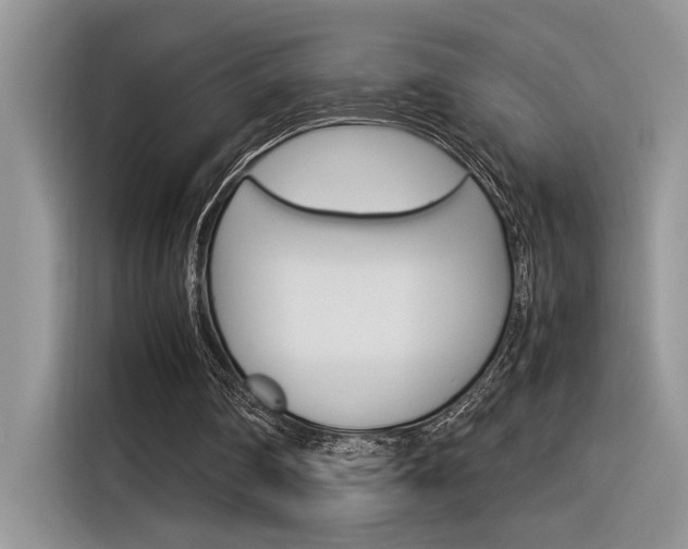 X0000116390290200912021011