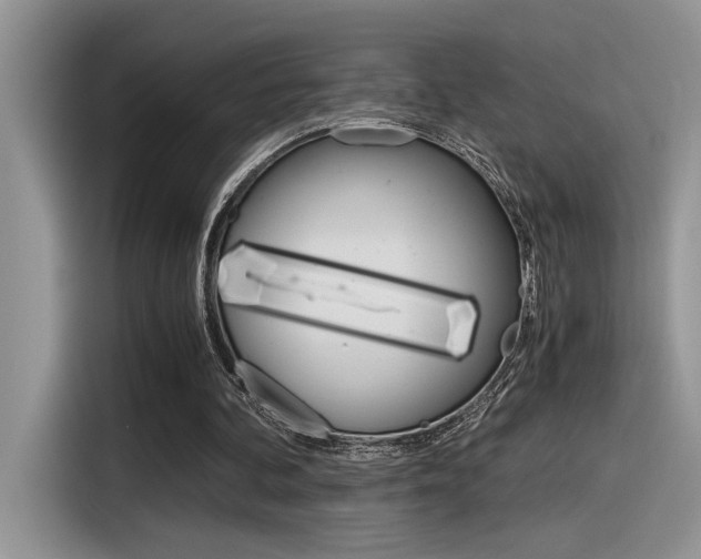 X0000116390292200912021011