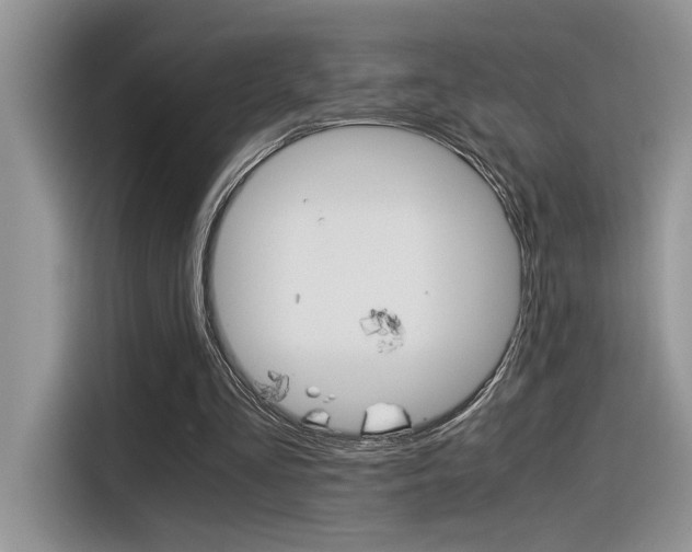 X0000116390293200912021011