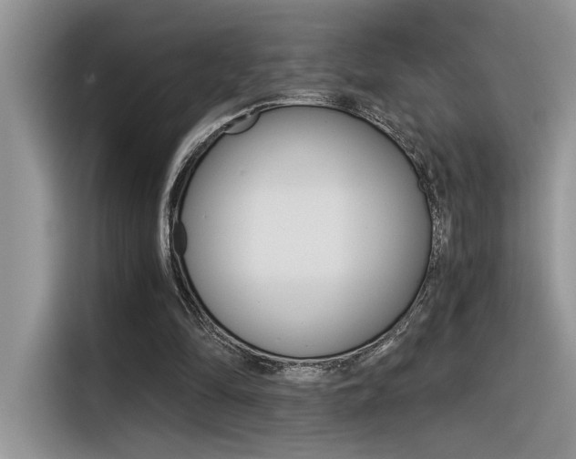 X0000116390294200912021011