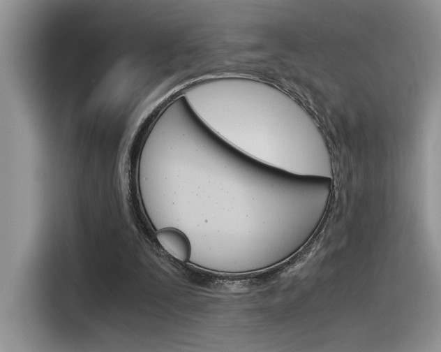 X0000116390295200912021011