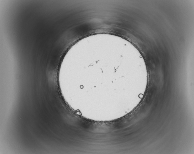 X0000116390297200912021011