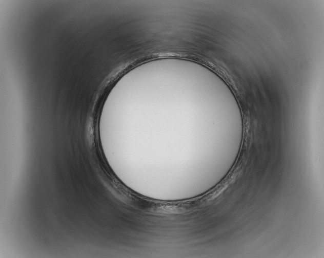 X0000116390298200912021011
