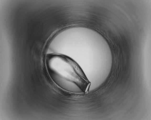X0000116390300200912021011