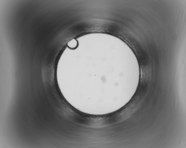 X0000116390301200912021011