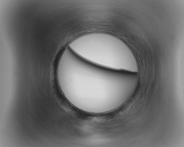 X0000116390303200912021011