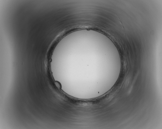 X0000116390304200912021011