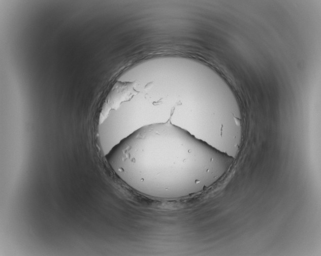 X0000116390305200912021011