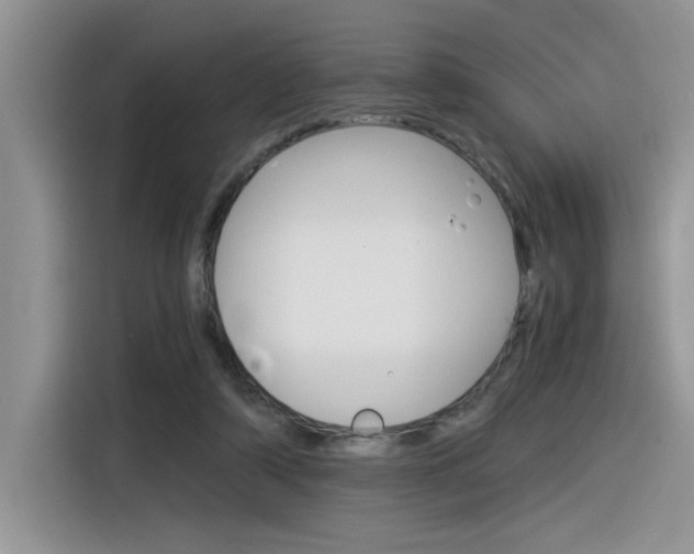 X0000116390306200912021011